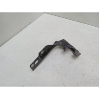 Петля капота Nissan Almera Classic B10 2008 6541195F0B, 654004M700, 6540095F0A