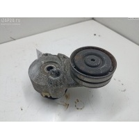 Механизм натяжения ремня, цепи Opel Zafira B (2004-2014) 2006 55556090