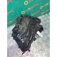 Впускной коллектор Volkswagen Golf 4 06A133203BM
