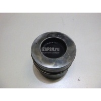 Поршень GM Captiva (C100) (2006 - 2010) 25182669