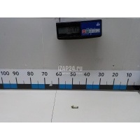 Пробка радиатора Hyundai-Kia Santa Fe (CM) (2006 - 2012) 253183K100