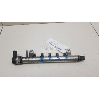 Рейка топливная (рампа) Land Rover Freelander 2 (2007 - 2014) LR022334