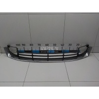 Решетка в бампер центральная VAG Superb (2008 - 2015) 3T08536779B9