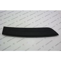 Решётка защитная на торпеде RH Mercedes GL/GLS X166 2012 A16688094019051