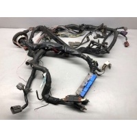 Проводка двигателя Nissan Primera 11 1998 240119F112