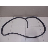 Уплотнитель двери RENAULT Logan 2005-2014 6001547017