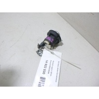 Вставка замка багажника Renault Sandero (2009 - 2014) 905022529R