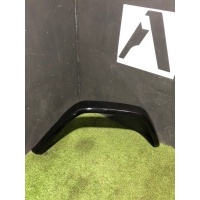 Расширитель арки крыла Mercedes-Benz G-class 500 W463 2002 A4638801621