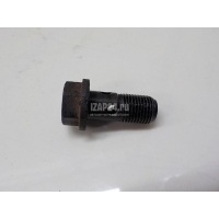 Болт полый Renault Kangoo 2008 151882356R