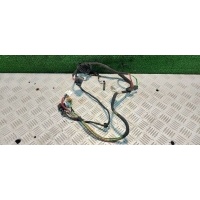 Проводка двери Audi A6 C5 (S6,RS6) 2003 4B0971029G