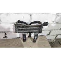 Радиатор масляный Hyundai Santa Fe (SM) 2000-2005 2003 2546026510