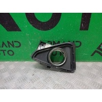 окантовка птф Toyota RAV4 4 CA40 2015-2019 5204042050