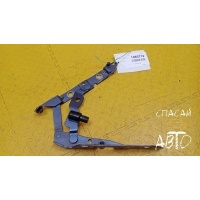 Петля багажника Jaguar X-TYPE 2001-2009 C2S30507