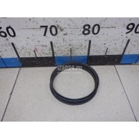 Кольцо уплотнительное (сопутств. товары) Ford Focus II (2005 - 2008) 1069084