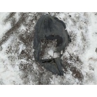 Защита арок передняя правая (подкрылок) BMW X6 E71/E72 2009 51717180620, 51717222596