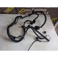 Проводка двигателя Skoda Octavia A4 2001 6Q0971615G