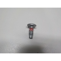 Болт Renault Megane I (1999 - 2004) 8200697105