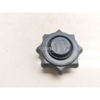 Болт крепления запасного колеса VAG Golf Plus (2005 - 2014) 1K0803899B