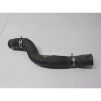 Патрубок радиатора Citroen-Peugeot Xsara Picasso (1999 - 2010) 1343AT