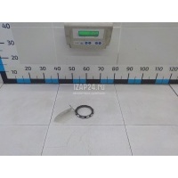 Гайка задней ступицы MAN TRUCK ACTROS I (1996 - 2002) 81906200048