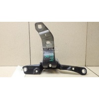 Петля двери багажника BMW 5-serie GT F07 (2009 - 2016) 41007233588