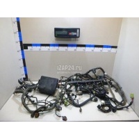 Проводка (коса) Hyundai-Kia Elantra (2011 - 2016) 914203X460