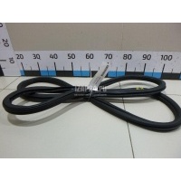 Уплотнитель двери VAG Jetta (2011 - 2018) 5C6867914G9B9