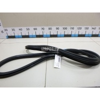 Уплотнитель двери VAG Jetta (2011 - 2018) 5C6867911G9B9