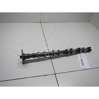 Распредвал выпускной Hyundai-Kia i30 (2012 - 2017) 241002A200