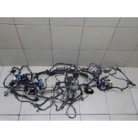 Проводка (коса) Ford EcoSport 2013 2037377