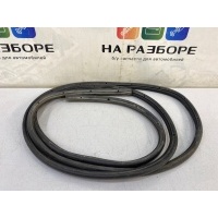 уплотнительная резинка на дверь FORD Focus CB4 2007 1495864