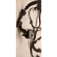 Проводка двери Nissan Primera 12 2005 24124BA203