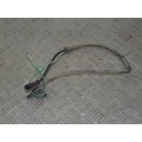Датчик ABS задний Renault Scenic 1 (1996-2003) 2000 7700432672