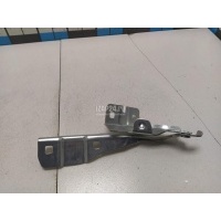 Петля капота правая Renault Arkana 2019 654005096R