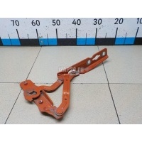 Петля капота левая Ford Grand C-MAX (2010 - 2019) 2005190