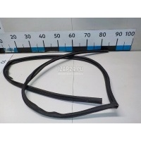 Уплотнитель стекла двери Hyundai-Kia Carnival (1999 - 2005) 0K55259605E