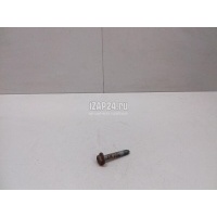 Болт заднего рычага VAG New Beetle (1998 - 2010) N10416201