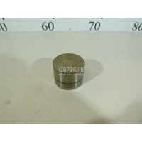Толкатель клапана гидравлический VAG Sharan (2000 - 2004) 038109309C