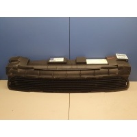 Решётка в бампер центральная Mercedes A-klasse W169 2004-2012 A1698850023