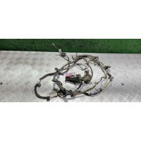 Проводка двери Opel Insignia 1 2010 13326768