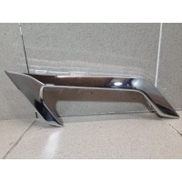 Накладка на крыло BMW X6 G06 51138097480