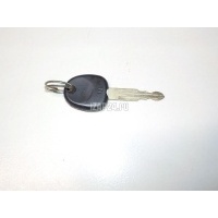 Ключ Hyundai-Kia Santa Fe (SM)/ Santa Fe Classic (2000 - 2012) 8199638000