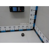 Ролик дополнительный ремня ГРМ Renault Scenic II (2003 - 2009) 130705625R
