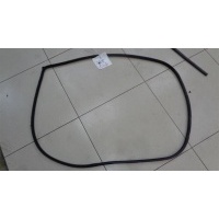Уплотнитель проема двери передний правый Hyundai Tucson 2004-2010 2008 821202E001