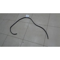 Уплотнитель проема двери задний правый Toyota Echo 1999-2005 2002 6233352010B0