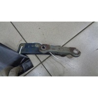 Петля капота правая N14 1990-1995 1995 6540050C10