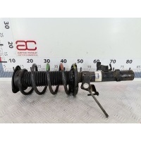 Стойка амортизатора переднего левого Ford Focus 2 (-) 2006 ,1619278