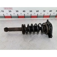Стойка амортизатора заднего правого (МакФерсон) Nissan Primera P11 (1996-2002) 2001 ,562108F825