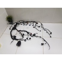 Электропроводка моторная Chery Tiggo 8 Pro 2021- 806003047AA