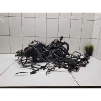 Электропроводка подкапотная Kia Sorento II 2009- 914202P694